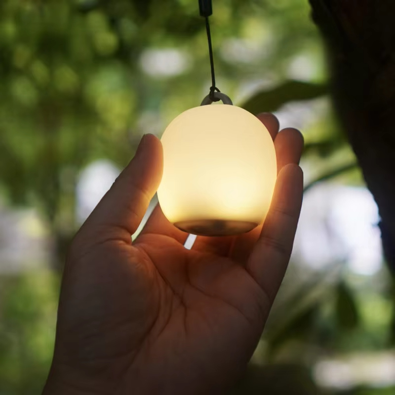 Mini Egg-Shaped Squeeze Silico - Camping Cooking Container 评论和价格